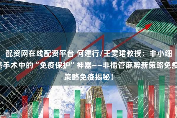 配资网在线配资平台 何建行/王雯珺教授：非小细胞肺癌手术中的“免疫保护”神器——非插管麻醉新策略免疫揭秘！