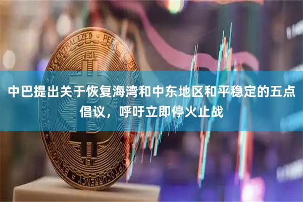 中巴提出关于恢复海湾和中东地区和平稳定的五点倡议，呼吁立即停火止战