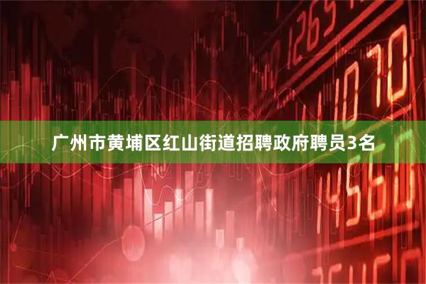 广州市黄埔区红山街道招聘政府聘员3名